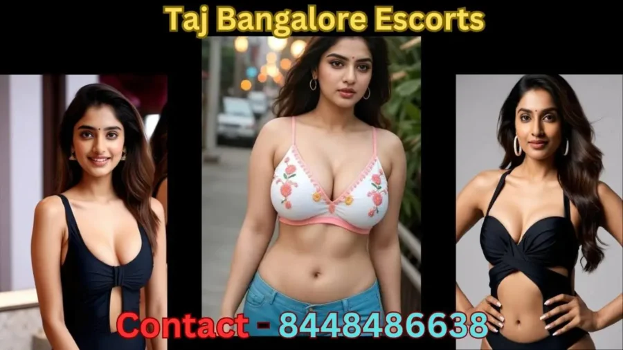 There are 3 girls in this picture who works in Bangalore Escorts